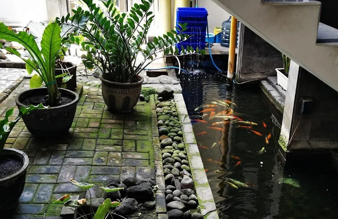 Dinnar Homestay Gayungan Syariah RedPartner-1